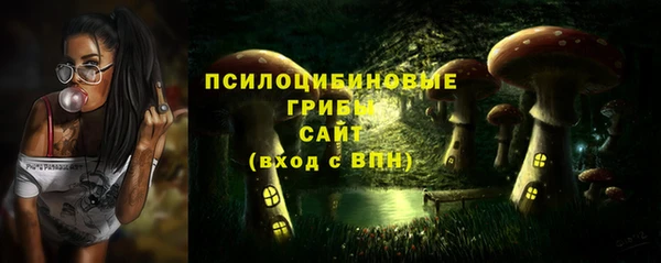 альфа пвп Армянск